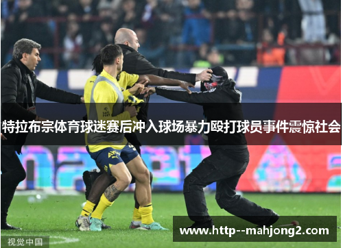特拉布宗体育球迷赛后冲入球场暴力殴打球员事件震惊社会 特拉布宗体育球迷赛后冲入球场暴力殴打球员事件震惊社会