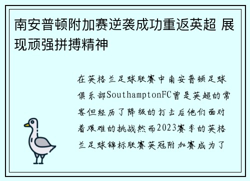 南安普顿附加赛逆袭成功重返英超 展现顽强拼搏精神 南安普顿附加赛逆袭成功重返英超 展现顽强拼搏精神